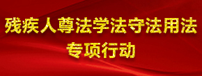 残疾人尊法学法守法用法专项行动 